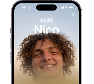 普定苹果15服务站分享iPhone15实时语音留言开启方法 