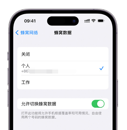 普定苹果维修服务分享如何在iPhone上使用双卡 